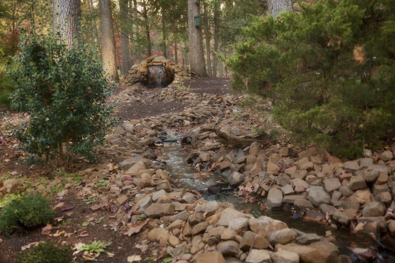 Creek flowing through a forested area, with rocks and vegetation visible.