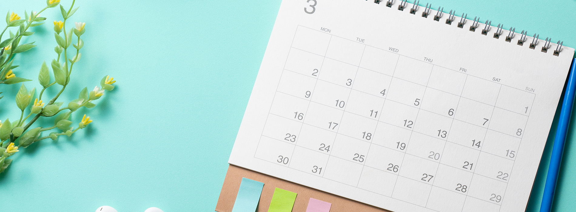 A digital calendar with a spiral binding, placed on a light blue surface with a potted plant in the background.