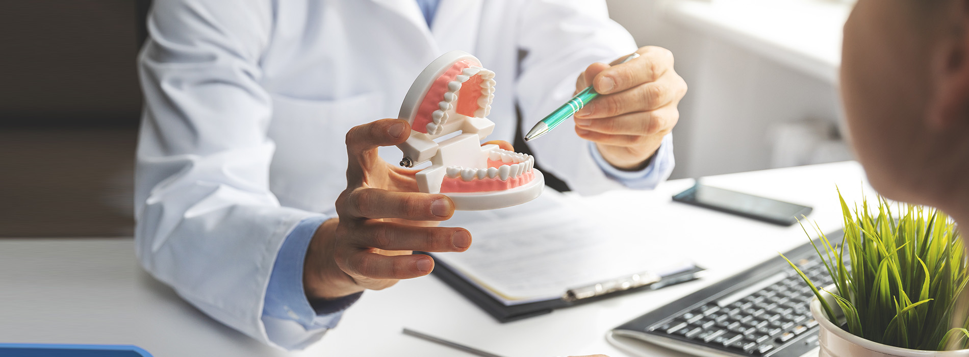 A dental professional holding a model mouth with teeth, examining it while seated at a desk with office supplies and a patient present.