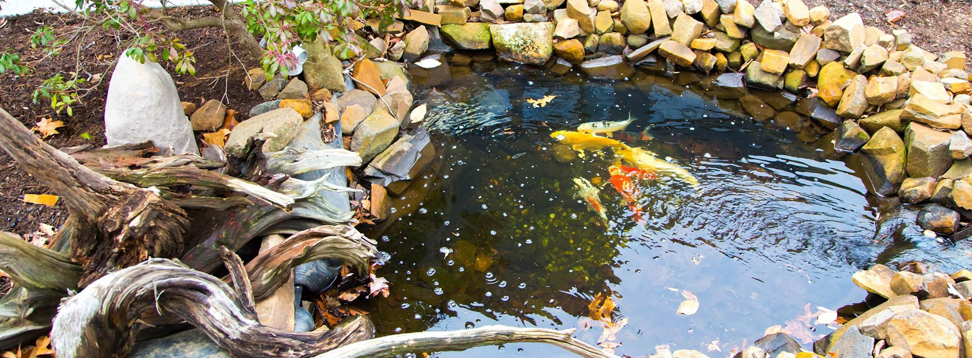 The image shows a small pond with a fountain, surrounded by rocks and plants, set in a garden or outdoor area.