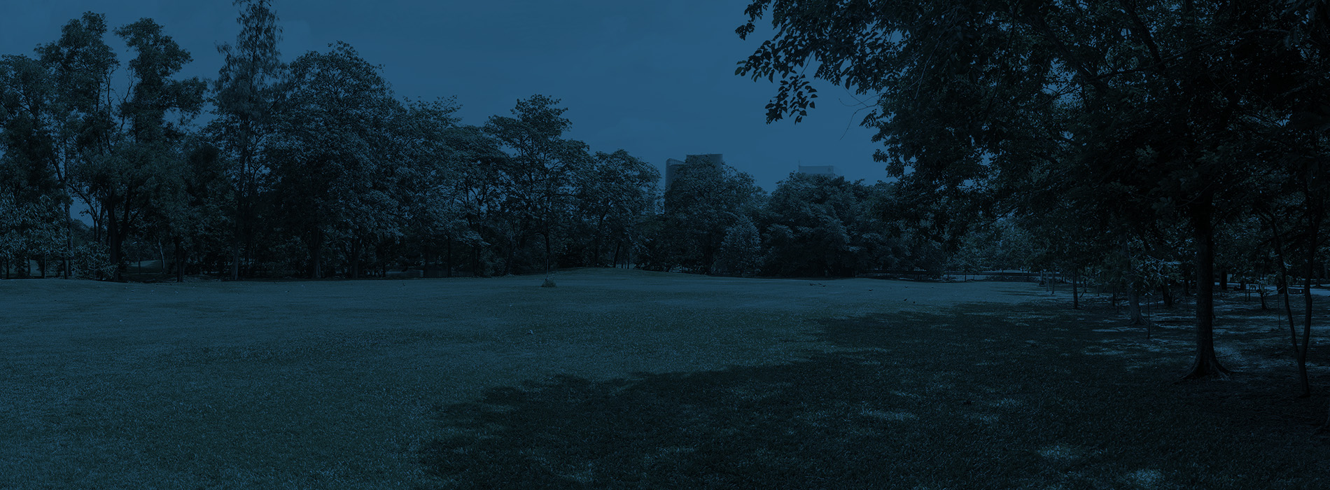 The image is a split-screen photograph of a park at dusk, with the left side showing a dark sky and silhouetted trees, while the right side features an overgrown field with a few scattered trees.
