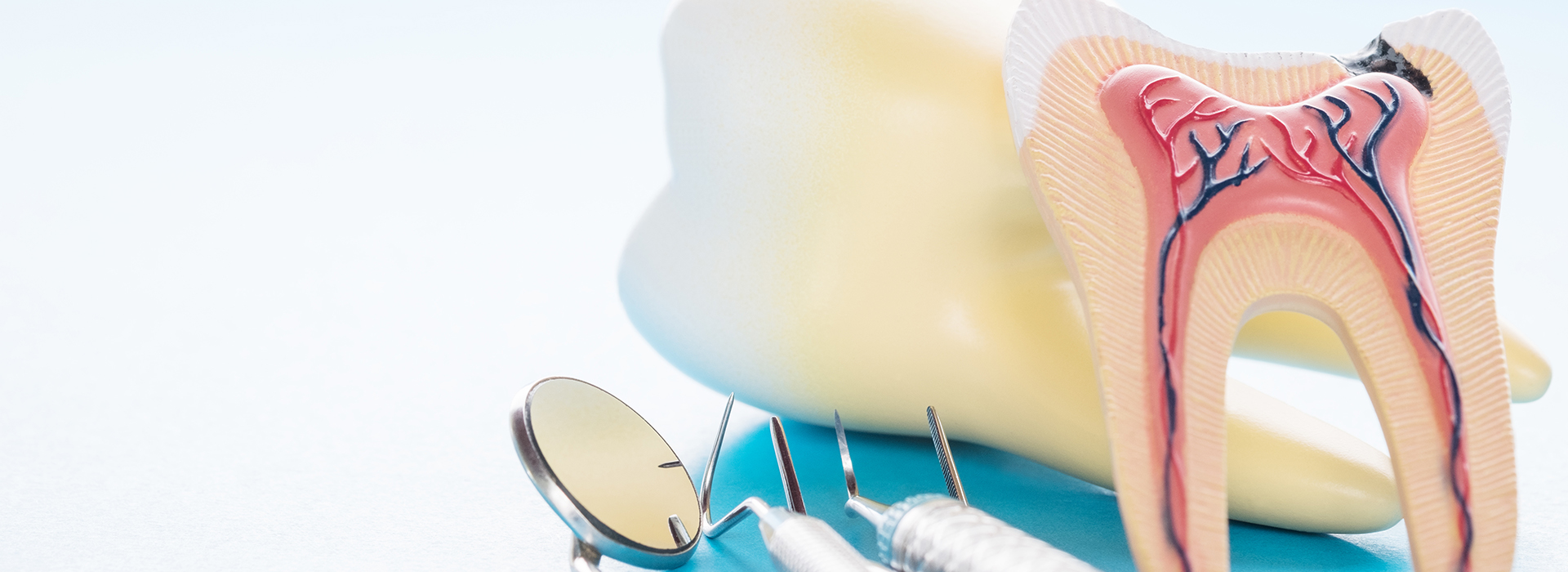 The image shows a dental model with a toothbrush and a dental floss, placed against a blue background.